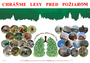 chráňme lesy